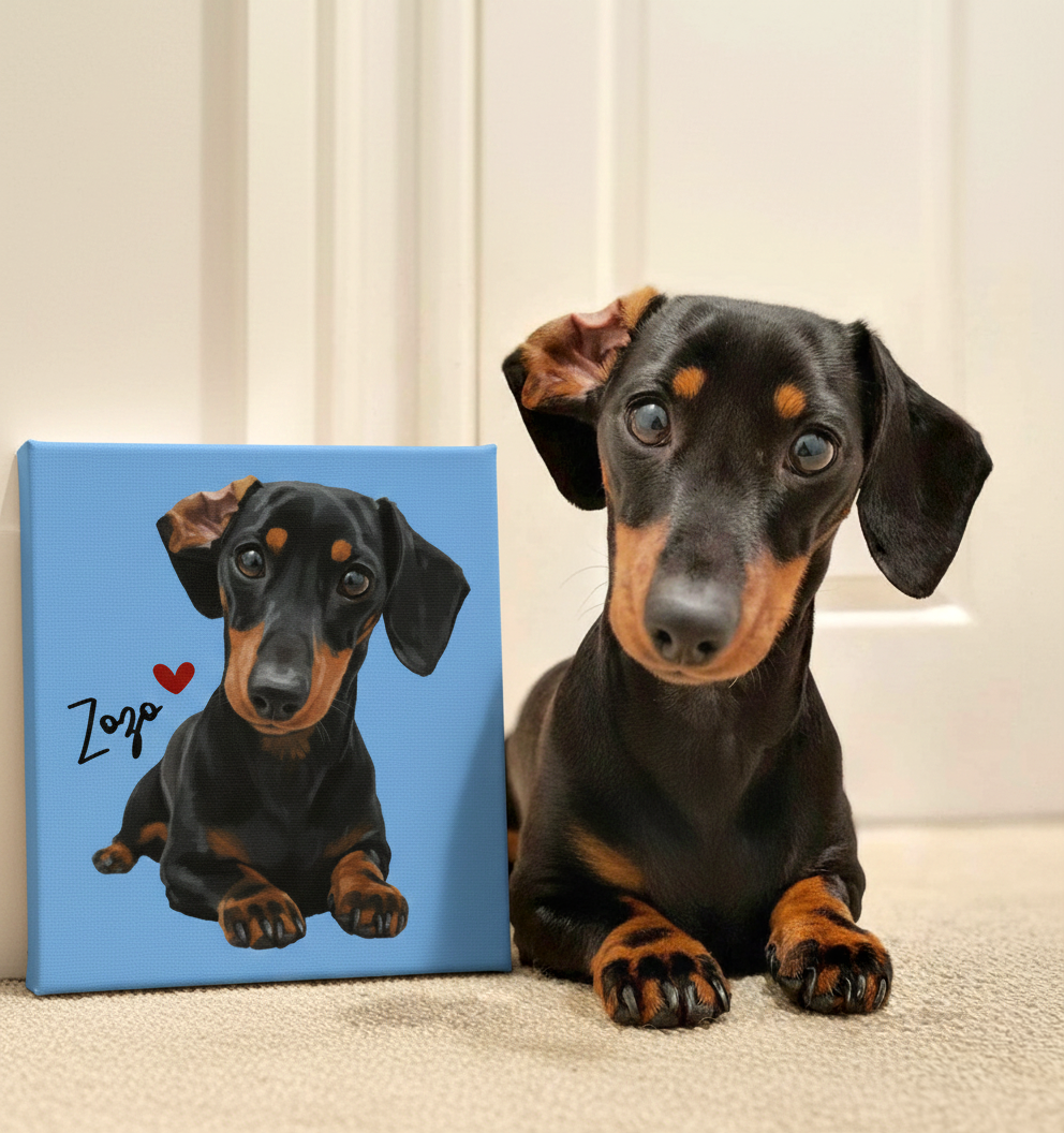 Custom Pet Portrait  - Canvas (Solid Background)